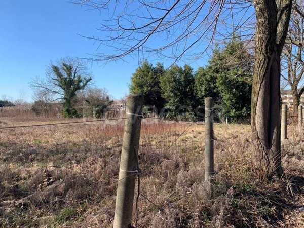 immagine annuncio 0 di 6