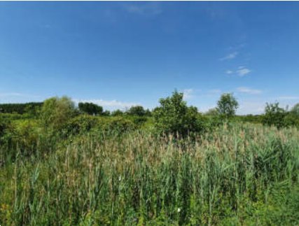 terreno agricolo in vendita a Cervignano del Friuli