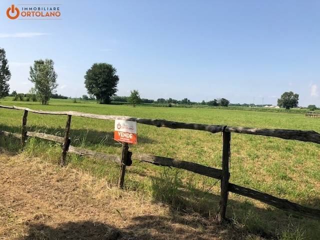 terreno agricolo in vendita a Chiopris-Viscone