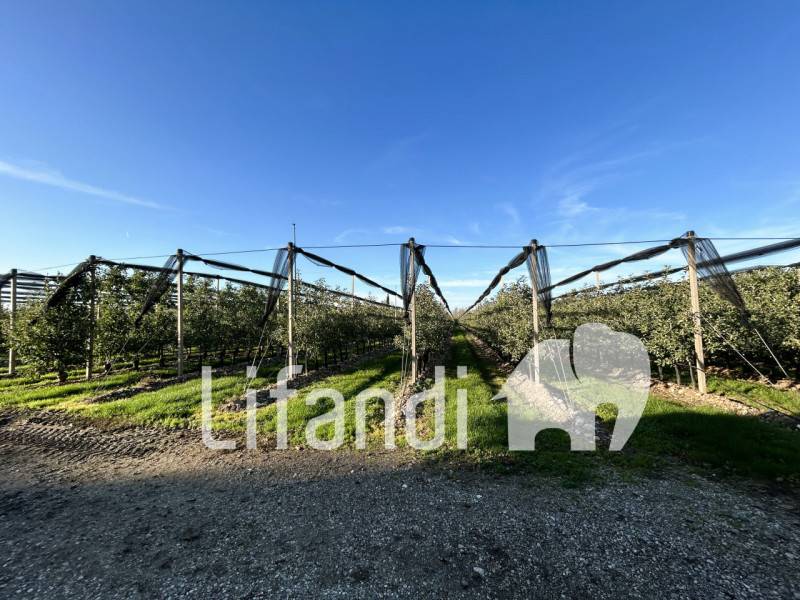 casa indipendente in vendita a Chiopris-Viscone