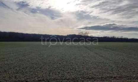 terreno agricolo in vendita a Chiopris-Viscone