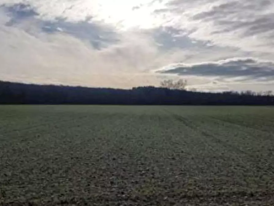 terreno agricolo in vendita a Chiopris-Viscone