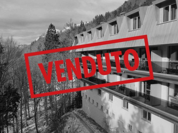 appartamento in vendita a Chiusaforte