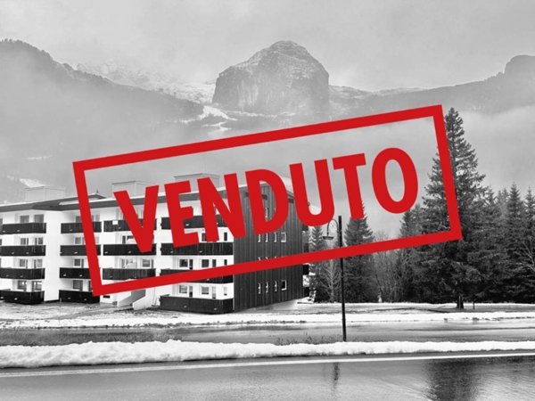 appartamento in vendita a Chiusaforte