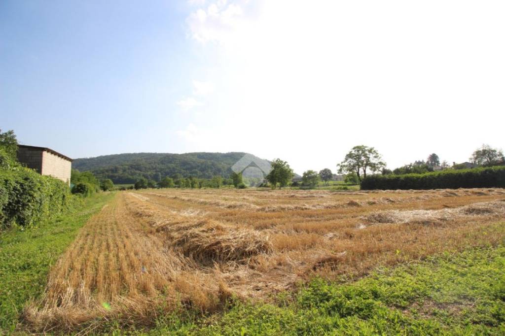 terreno agricolo in vendita a Cividale del Friuli in zona Purgessimo