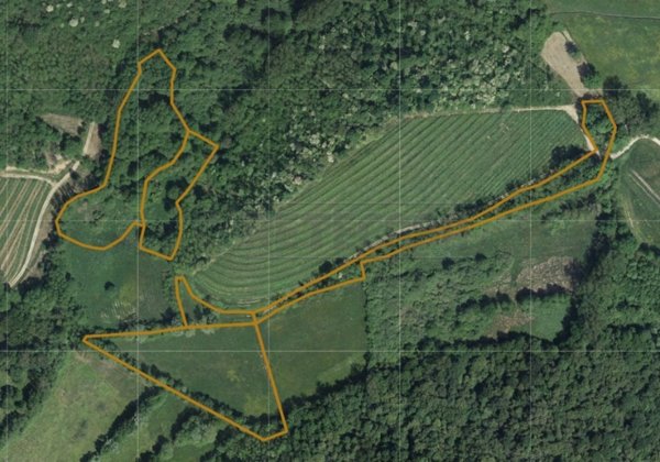 terreno agricolo in vendita a Cividale del Friuli in zona Spessa