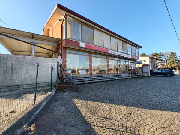 negozio in vendita a Cividale del Friuli