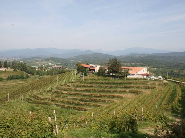 negozio in vendita a Cividale del Friuli in zona Spessa