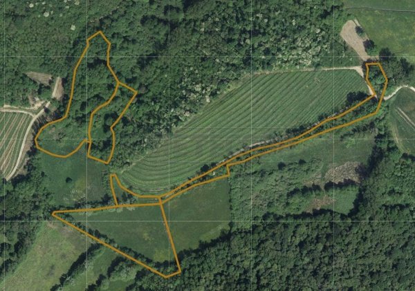 monolocale in vendita a Cividale del Friuli in zona Spessa