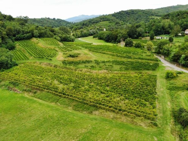 terreno agricolo in vendita a Cividale del Friuli