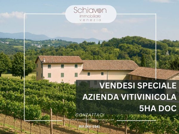 terreno agricolo in vendita a Cividale del Friuli