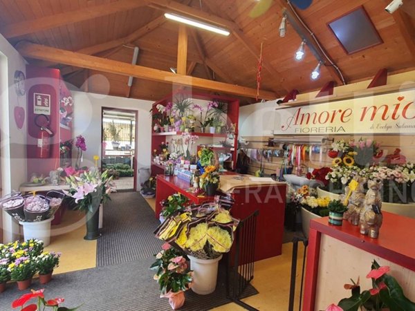 negozio in vendita a Cividale del Friuli