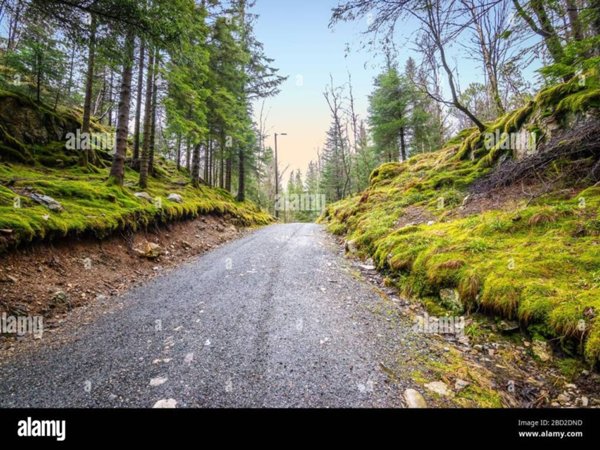 terreno agricolo in vendita a Cividale del Friuli in zona Purgessimo
