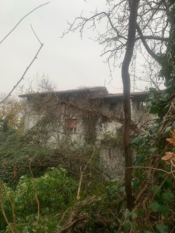 esavano in vendita a Cividale del Friuli
