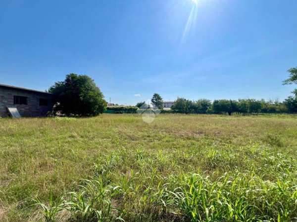 terreno agricolo in vendita a Codroipo