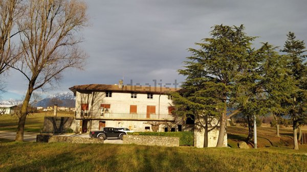 pentavano in vendita a Colloredo di Monte Albano