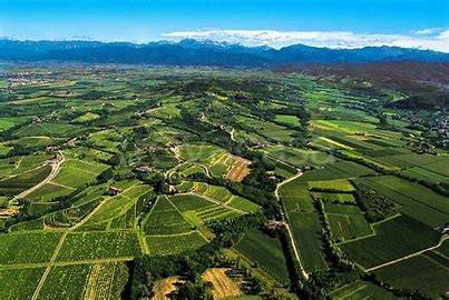 terreno agricolo in vendita a Corno di Rosazzo