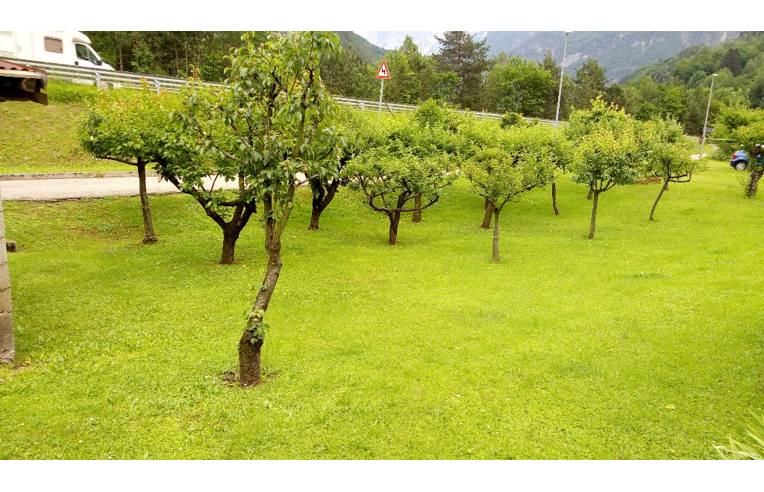 casa indipendente in vendita a Dogna