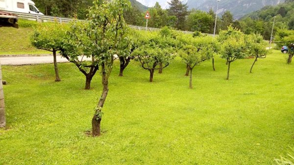 casa indipendente in vendita a Dogna