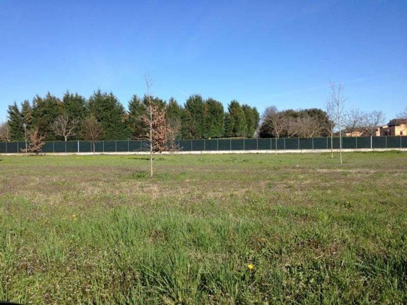terreno agricolo in vendita a Faedis in zona Campeglio
