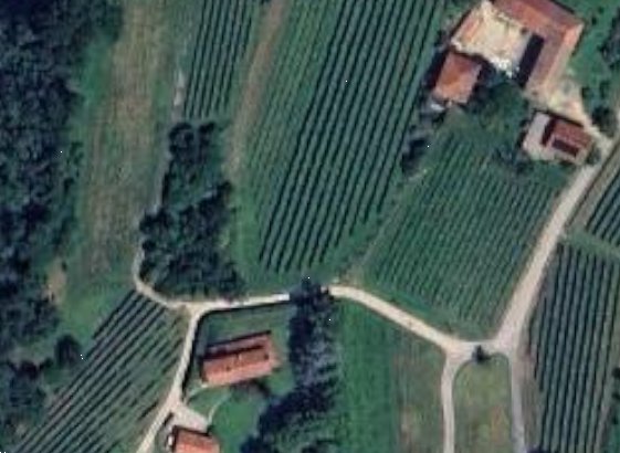 terreno agricolo in vendita a Faedis