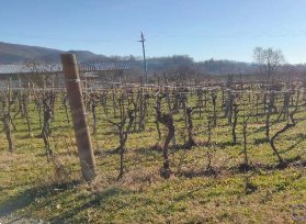 terreno agricolo in vendita a Faedis