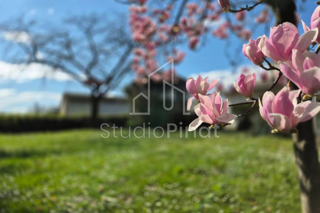casa indipendente in vendita a Fagagna