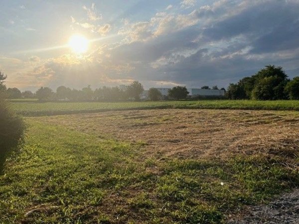 terreno agricolo in vendita a Fagagna
