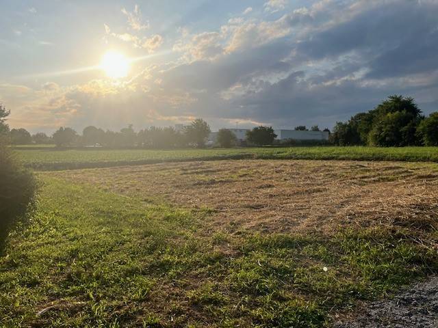 terreno agricolo in vendita a Fagagna