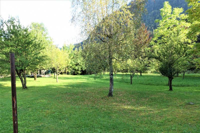 casa indipendente in vendita a Forni Avoltri