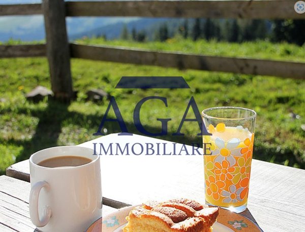 mansarda in vendita a Forni Avoltri