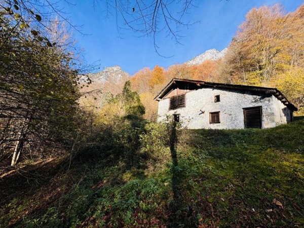 casa indipendente in vendita a Forni di Sotto