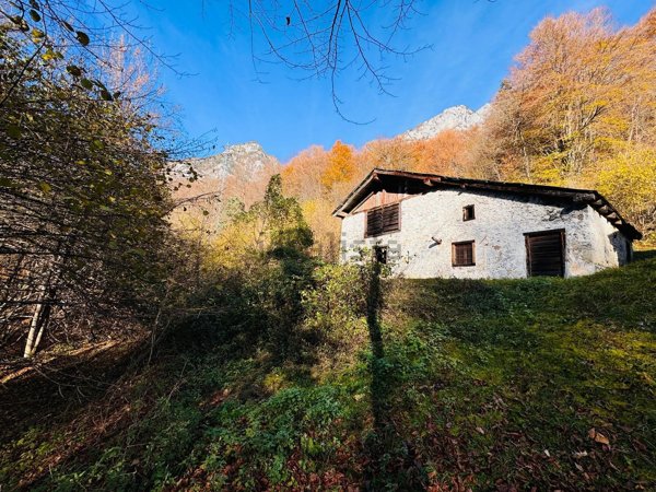 appartamento in vendita a Forni di Sotto