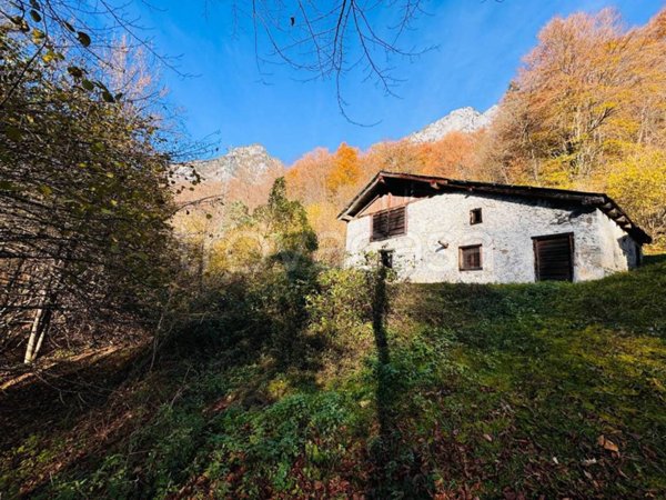 rudere in vendita a Forni di Sotto in zona Vico