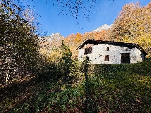 casale in vendita a Forni di Sotto