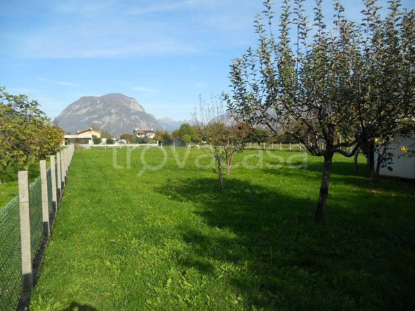 terreno agricolo in vendita a Gemona del Friuli