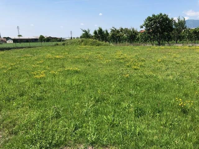 terreno agricolo in vendita a Gemona del Friuli