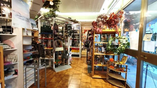 negozio in vendita a Gemona del Friuli