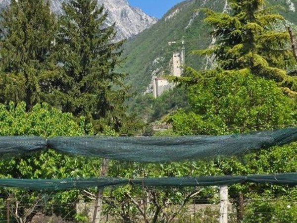 casa indipendente in vendita a Gemona del Friuli