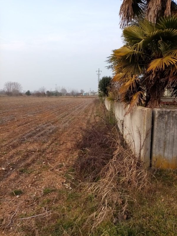 terreno agricolo in vendita a Gonars