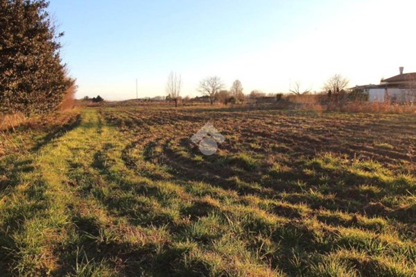 terreno edificabile in vendita a Latisana in zona Pertegada