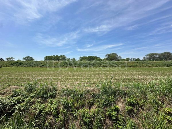 terreno agricolo in vendita a Latisana in zona Pertegada