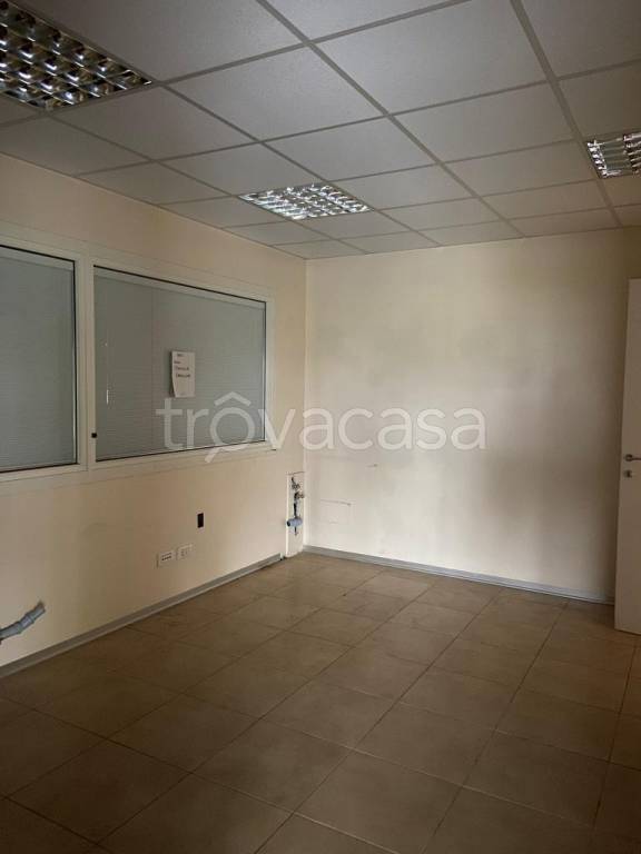 negozio in vendita a Latisana in zona Pertegada