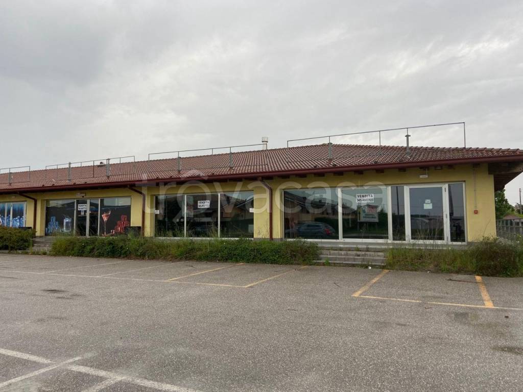 negozio in vendita a Latisana in zona Pertegada