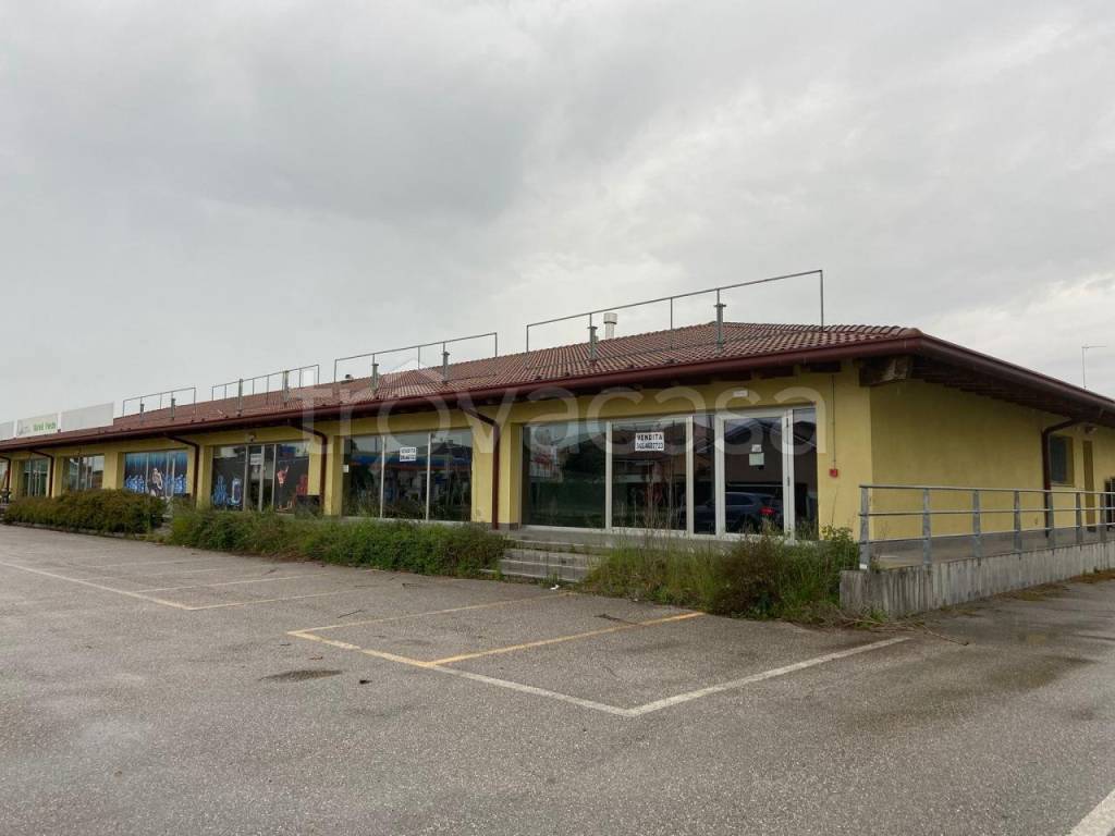 negozio in vendita a Latisana in zona Pertegada