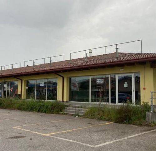 negozio in vendita a Latisana in zona Pertegada