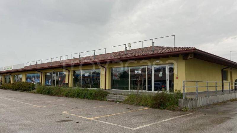 negozio in vendita a Latisana in zona Pertegada
