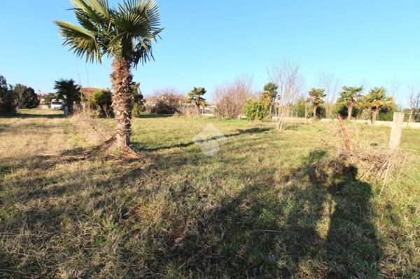 terreno agricolo in vendita a Latisana in zona Pertegada