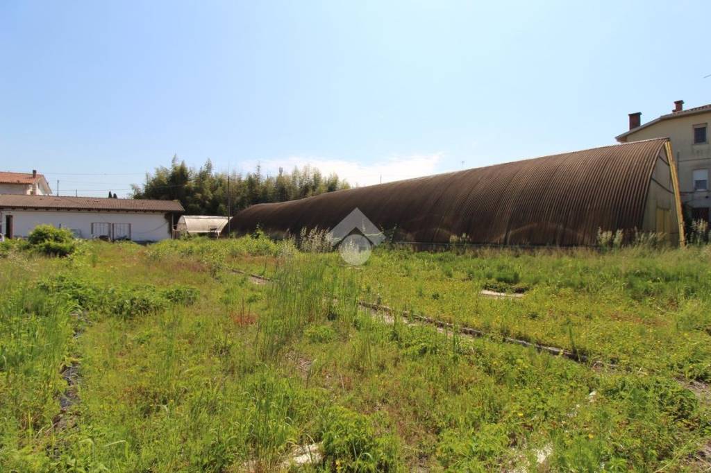 terreno agricolo in vendita a Latisana