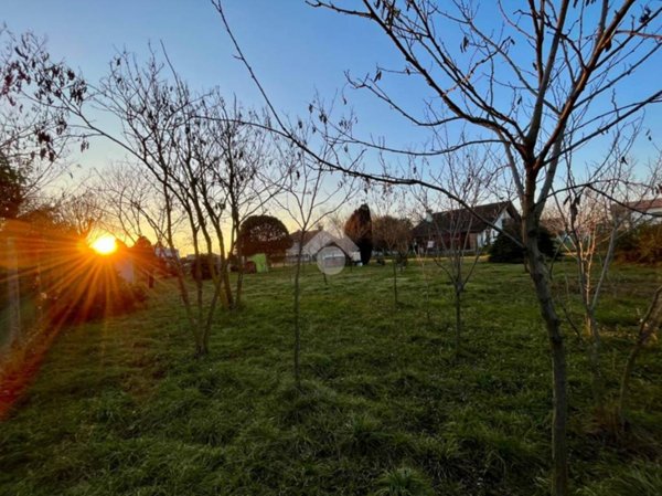 terreno agricolo in vendita a Lestizza in zona Sclaunicco